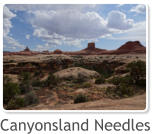 Canyonsland Needles